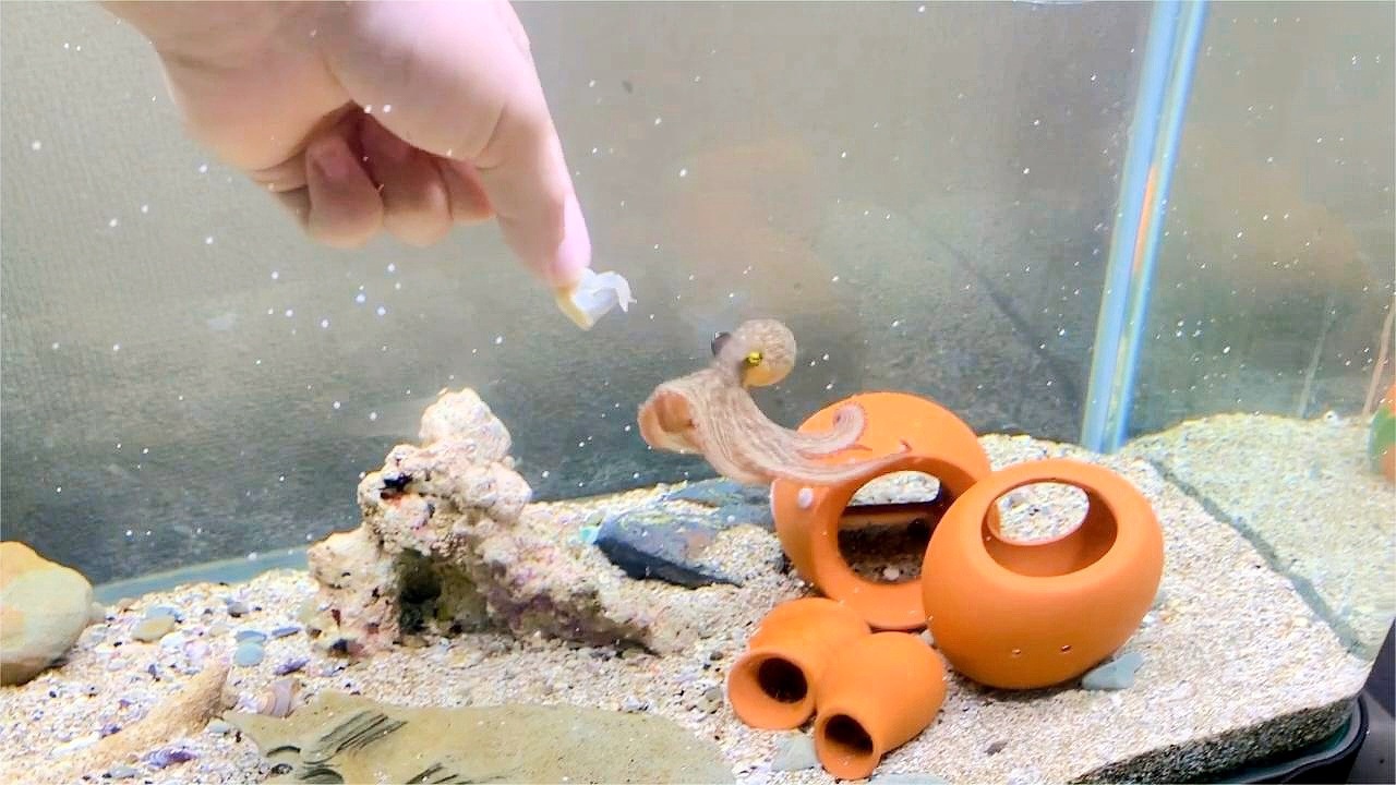 ~ˮͧ~׽̳
